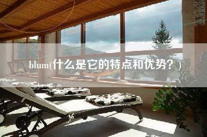 blum(什么是它的特点和优势？)-第1张图片