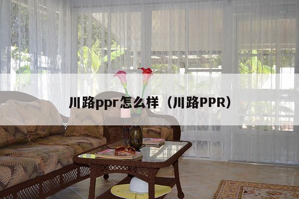 川路ppr怎么样（川路PPR）-第1张图片