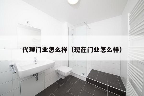 代理门业怎么样（现在门业怎么样）-第1张图片