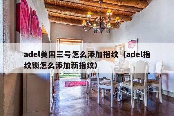 adel美国三号怎么添加指纹（adel指纹锁怎么添加新指纹）-第1张图片