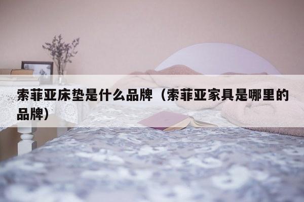 索菲亚床垫是什么品牌（索菲亚家具是哪里的品牌）-第1张图片