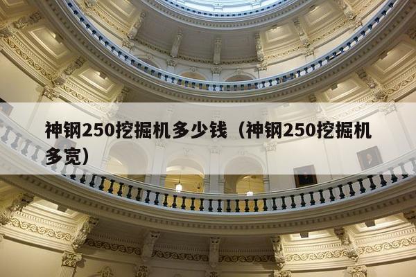 神钢250挖掘机多少钱（神钢250挖掘机多宽）-第1张图片