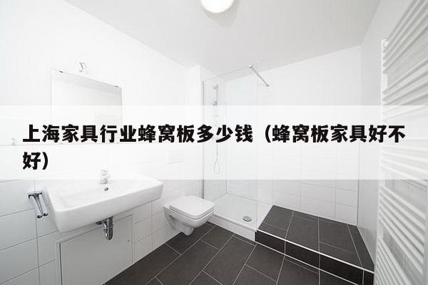 上海家具行业蜂窝板多少钱（蜂窝板家具好不好）-第1张图片