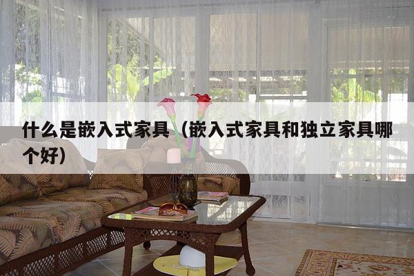 什么是嵌入式家具（嵌入式家具和独立家具哪个好）-第1张图片