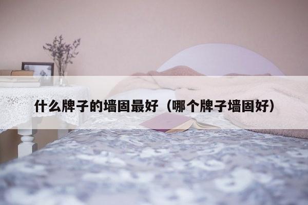 什么牌子的墙固最好（哪个牌子墙固好）-第1张图片