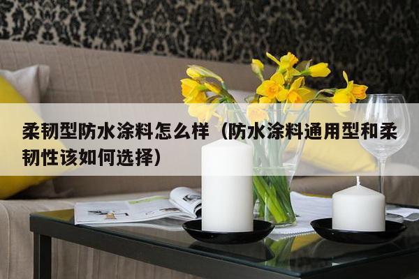 柔韧型防水涂料怎么样（防水涂料通用型和柔韧性该如何选择）-第1张图片