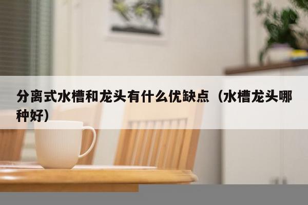 分离式水槽和龙头有什么优缺点（水槽龙头哪种好）-第1张图片