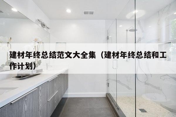 建材年终总结范文大全集（建材年终总结和工作计划）-第1张图片