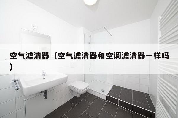 空气滤清器（空气滤清器和空调滤清器一样吗）-第1张图片