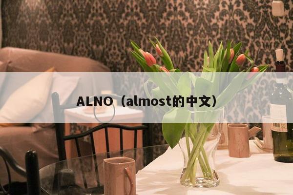 ALNO（almost的中文）-第1张图片