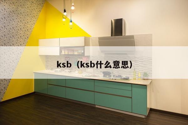 ksb（ksb什么意思）-第1张图片