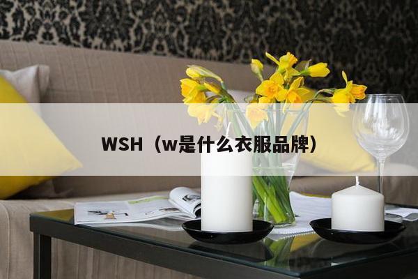 WSH（w是什么衣服品牌）-第1张图片