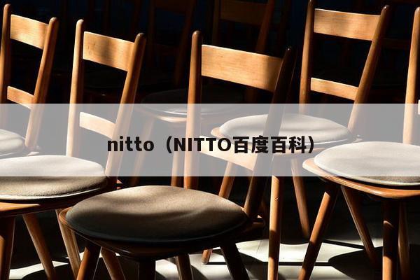 nitto（NITTO百度百科）-第1张图片