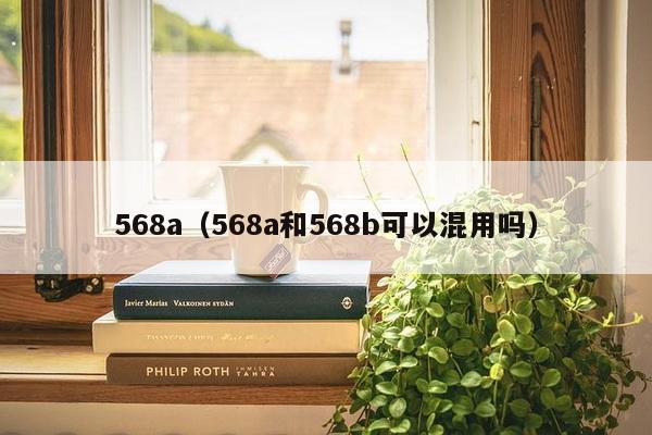 568a（568a和568b可以混用吗）-第1张图片