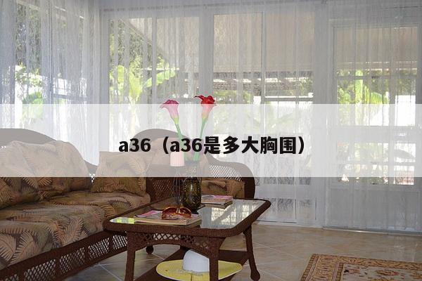 a36（a36是多大胸围）-第1张图片