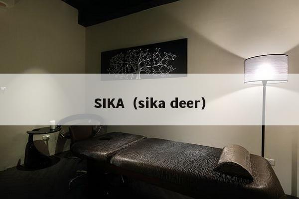 SIKA（sika deer）-第1张图片