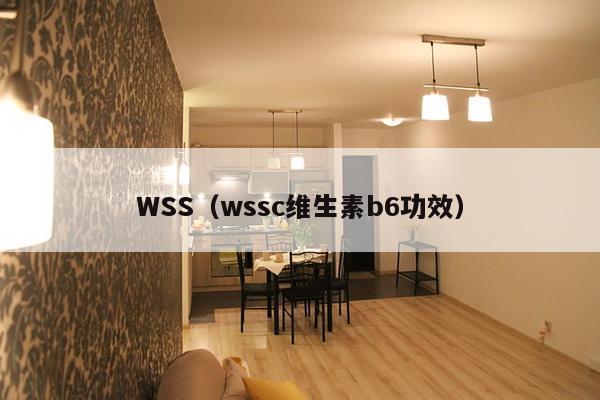 WSS（wssc维生素b6功效）-第1张图片