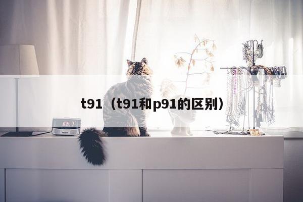 t91（t91和p91的区别）-第1张图片