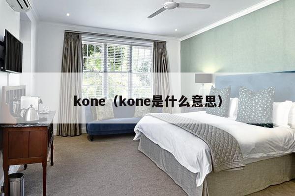 kone（kone是什么意思）-第1张图片