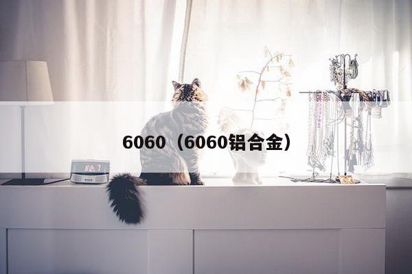 6060（6060铝合金）-第1张图片