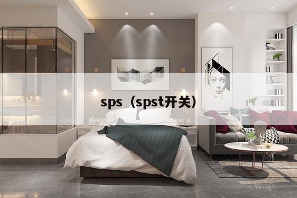 sps（spst开关）-第1张图片