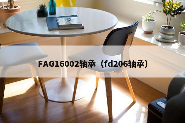 FAG16002轴承（fd206轴承）-第1张图片