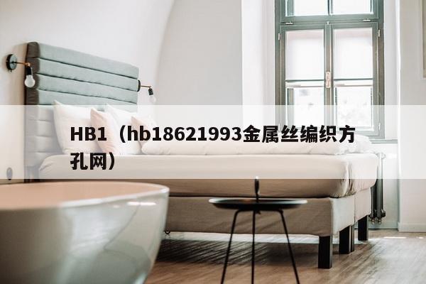 HB1（hb18621993金属丝编织方孔网）-第1张图片