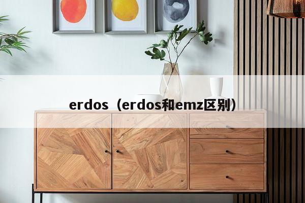 erdos（erdos和emz区别）-第1张图片